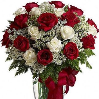 25 red and white roses