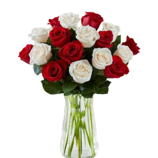 19 red and white roses