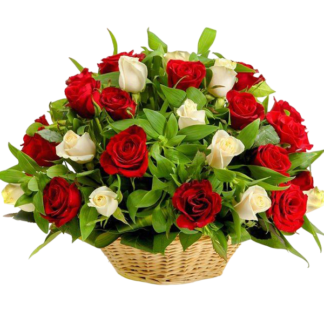 25 white and red roses in the basket
