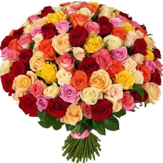 51 multi-colored roses