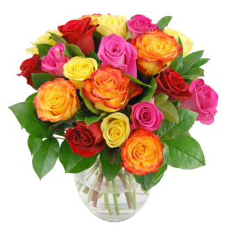 19 colorful roses